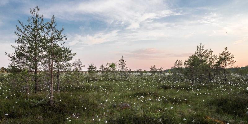 市政管廊防水如何固若金汤？深度解析常州佳路膨润土防水毯的节点处理技术与卓越变形适应力