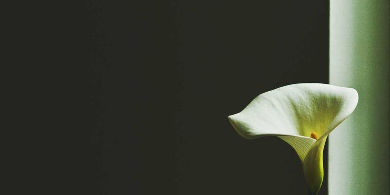 常州佳路:以匠心筑坦途,守护城市交通生命线