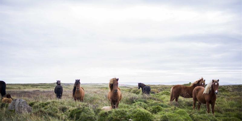 筑牢安全防线：常州佳路土工膜在危废填埋场双层防渗系统中的关键作用与质量控制