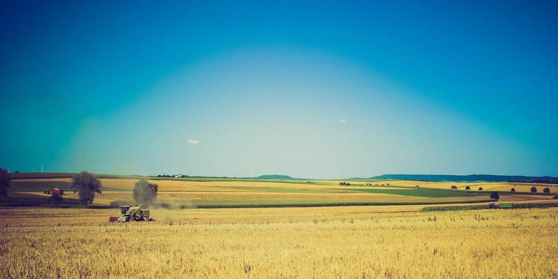 筑牢绿色屏障:常州佳路生态袋在公路声屏障基础绿化中的关键技术解析