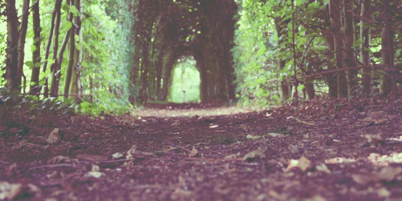 重载交通路堤边坡如何稳如磐石?常州佳路高强经编土工格栅的稳定性计算与实战解析